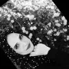 Nisreen Rashed