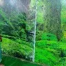 Shashidhar