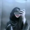 Akeefa Tareen
