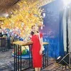 Kim Anh Vo Thi