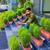 Ankit Kumar