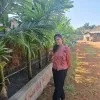 Priti Tar