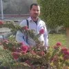 Mohamed Ashour