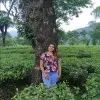 Pavithra Anbu