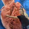 Lori Cook BSN