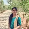 Divyabharathi Dhilipan