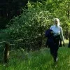 Insa Herzog