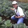 DENNIS SEBASTIANUS