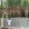 Mit Patel