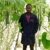 Samuel Arbah