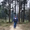 Nawaid Alam