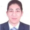 Sherif Elghonamey