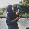 Saba Rashid