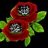 nizam uddin