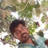 Rasimani Reddy Sekhar