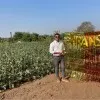 Arjun Sisodiya