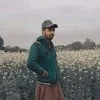 Hafiz Amjad Perveez