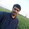 ndnv krishna
