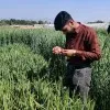 Muhammad Hussain