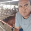 lino vera