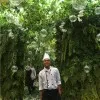 Fauzan Nasution