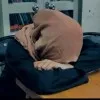 Samjutt Samjutt