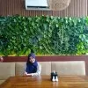 Farisa Izza