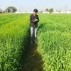 Nirankar mishra Neer
