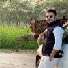 ankit singh