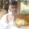 Anand Patel