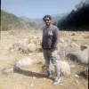Tabish Raja