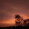 Aasma miyan