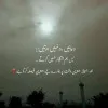 hira siddique