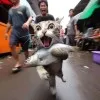 Yan Nur Diyanto