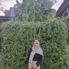 Shafira Nasri Mulyaningsih