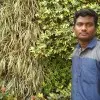 Pradeepan