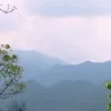 Huaxin Huo