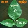 SUBODH MISHRA