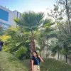 Payal Waghmare