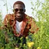 David Oduwa