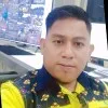 Arlis umar