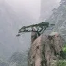 Hemin Babu