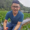 Yu Sung Hsu