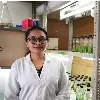 Akhila Punchakara