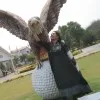 Gowri Naveen