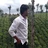 Raj babu