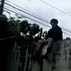 Mindfull Associate