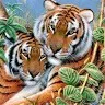 ahmer munawar