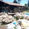 Robert Mungai