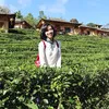 LanAnh Hoang